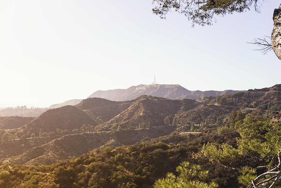 los-angeles-view-4