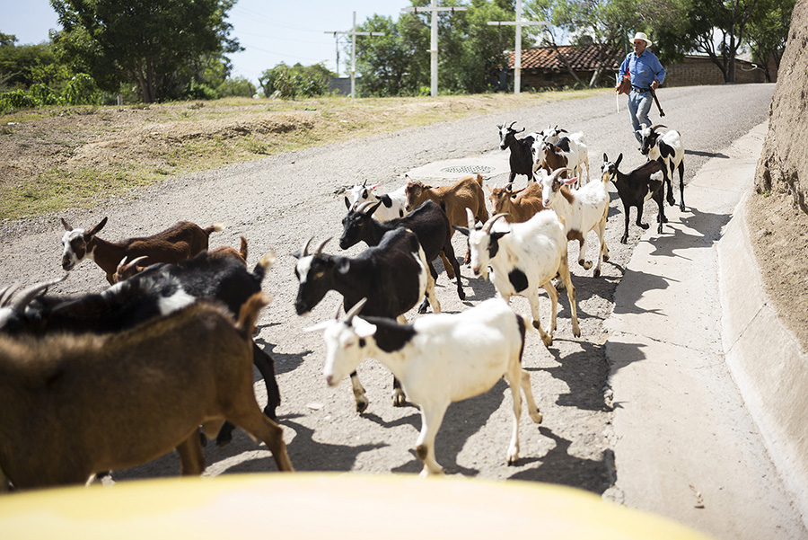 photos-mitla-oaxaca-mexico-2