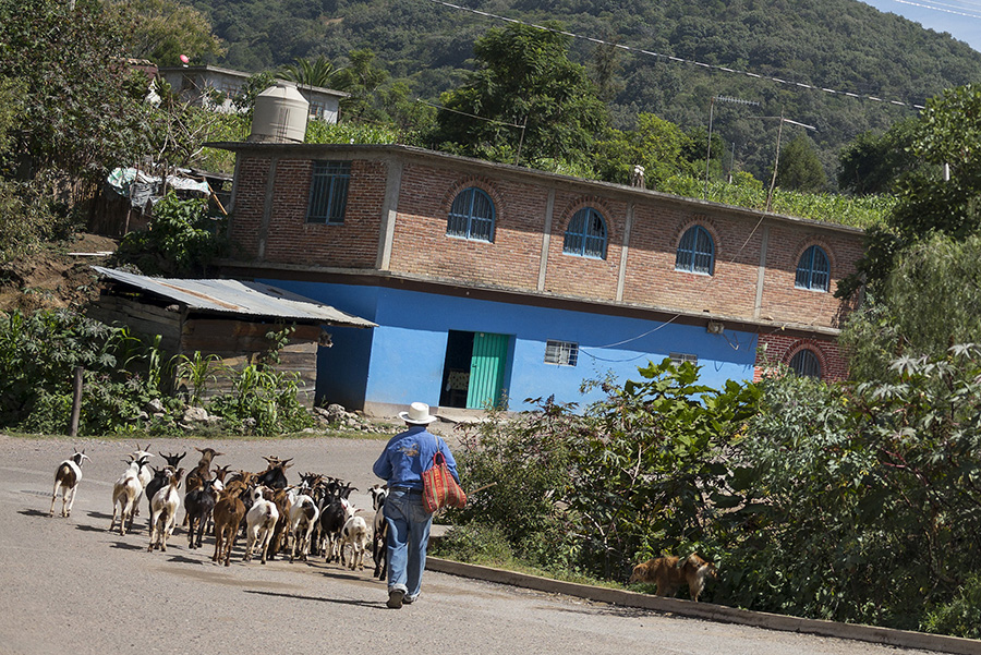photos-mitla-oaxaca-mexico-3