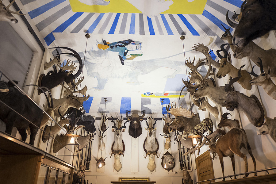 musee-de-la-chasse-11