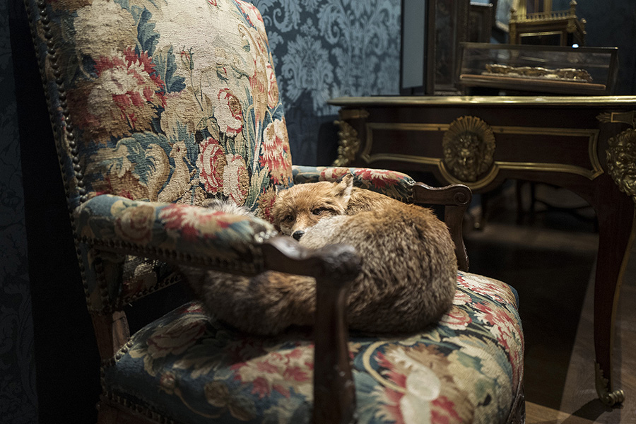 musee-de-la-chasse-4