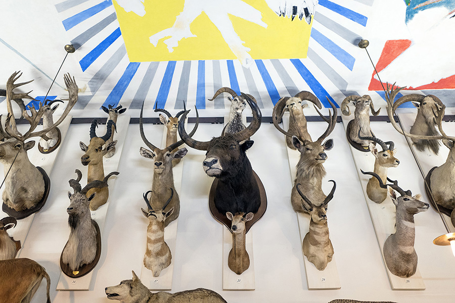 musee-de-la-chasse-9